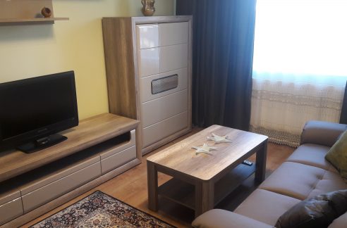 Apartament lux Ultracentral Pitesti - living