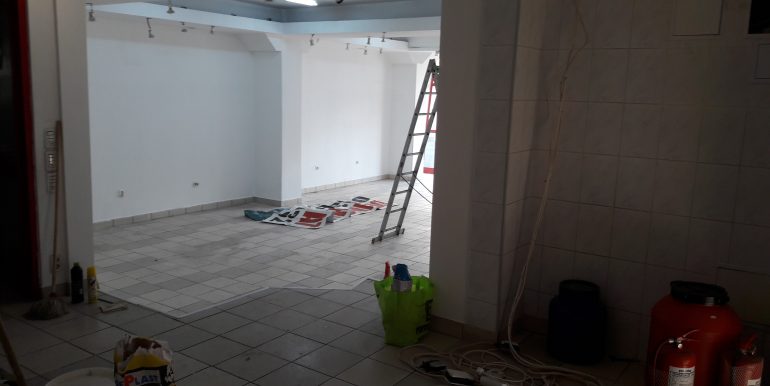 spatiu popa sapca (12)